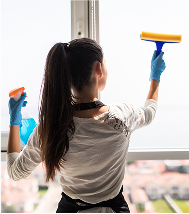 Window cleaning Christchurch – streak-free professional service.